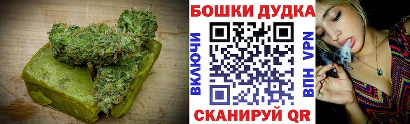 как найти   Медногорск  Cannafood конопля 