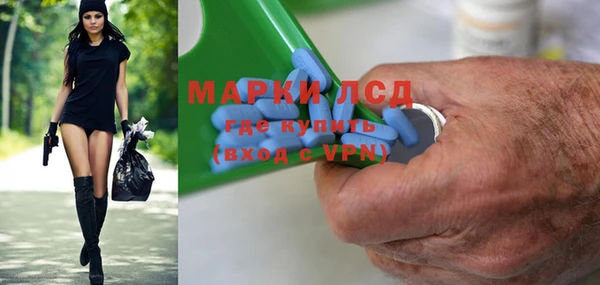 стаф Аркадак