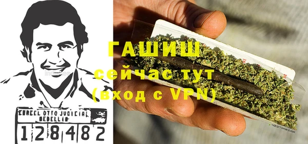 стаф Аркадак