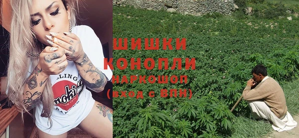 стаф Аркадак