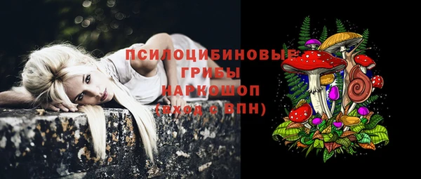 MESCALINE Арсеньев
