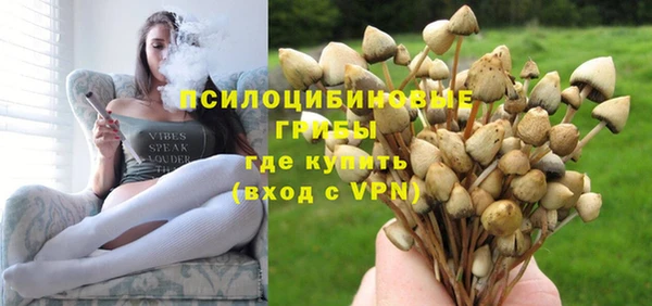 стаф Аркадак