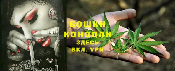 стаф Аркадак
